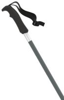 Atomic REDSTER Q Green./Silver