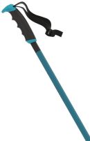 Atomic REDSTER X TEAL BLUE